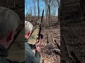 Black Bear and Buck #archery #traditionalarchery #blackhunterlongbow