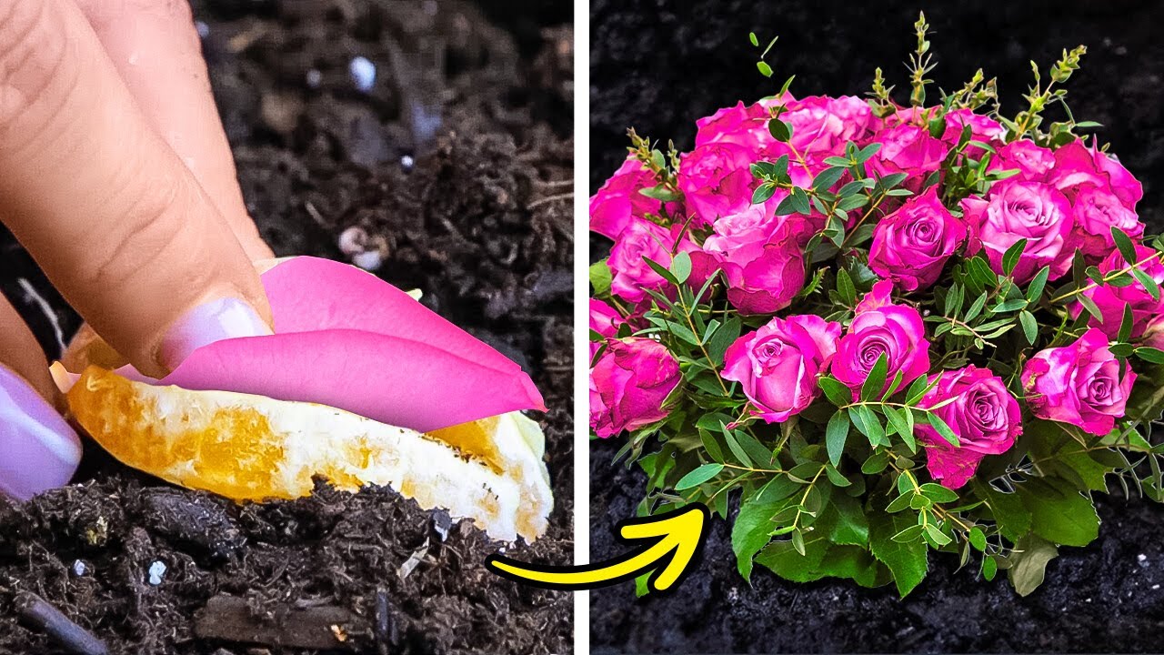 Grow your own Garden Quickly! Smart Plant hacks - YouTube