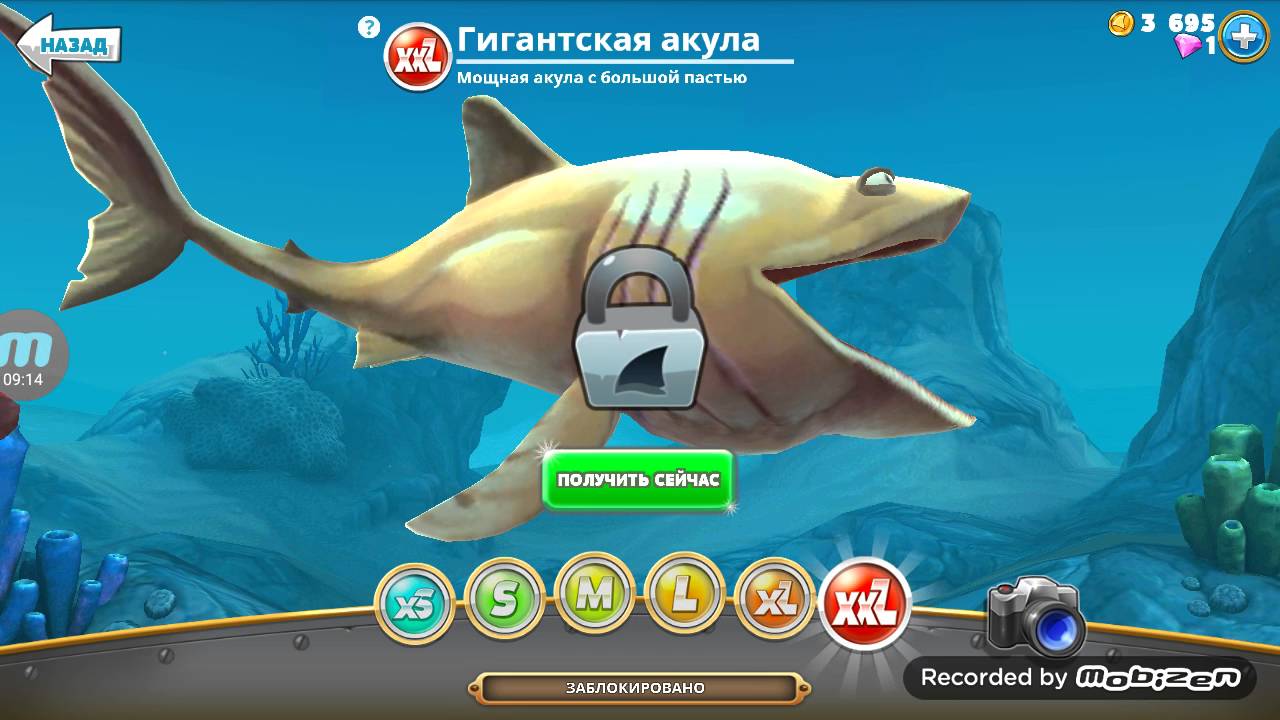 Играю в акул - YouTube