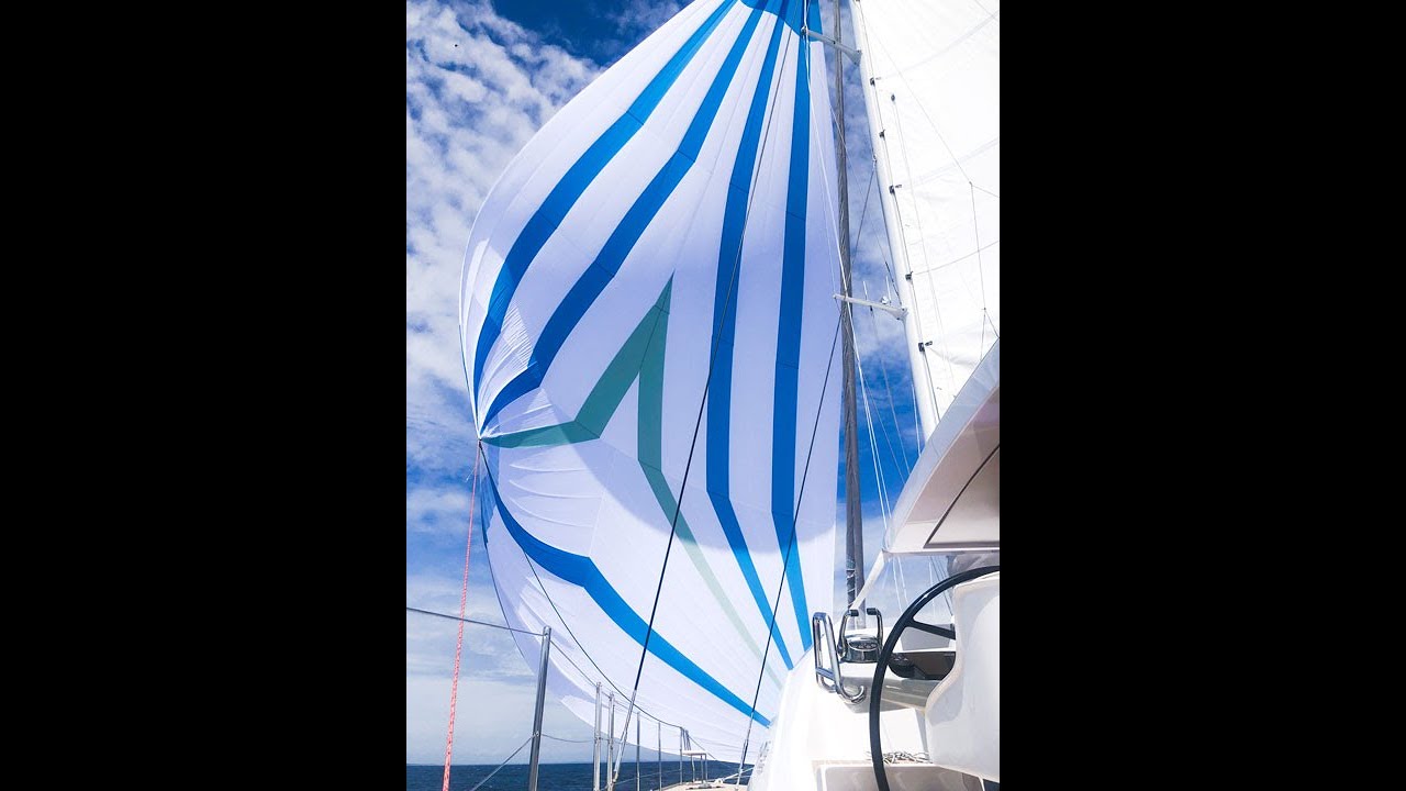 Join Us for Epic Spinnaker Sailing on a Catamaran! #shorts | Harbors Unknown