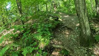 Hike#36 – Appalachian Trail from Undermountain Rd to Jug End Rd at Egremont, MA