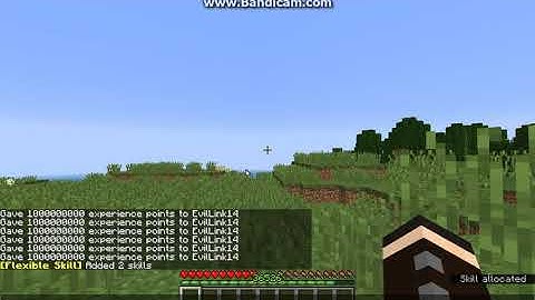 Flexible Skills 1.0.0 for 1.13.2/1.14.4 Forge Mod Overview