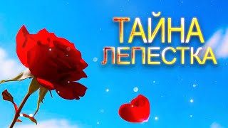 картинка: Тайна лепестка (фолк) Песня о фантазии | слова: Мистери & Greate Hohotun