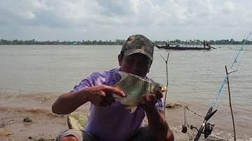 Chia sẻ bài mồi cám lên mè vinh khủng. Cá ăn lia lịa vợ kéo tiếp luôn | Săn bắt SÓC TRĂNG |