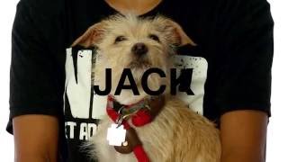 Adopt Jack at NKLA