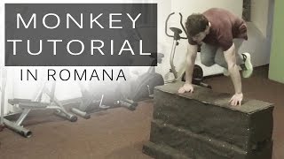 Monkey Vault TUTORIAL PARKOUR in romana | Ardelean Brian