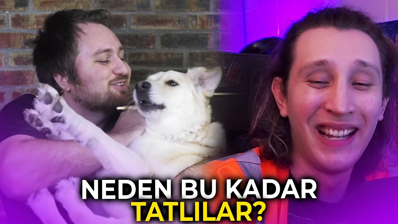 KAANFLIX | SEVİMLİ ŞEYLERİ SEVİMLİ YAPAN NE İZLİYOR (Evrim Ağacı)