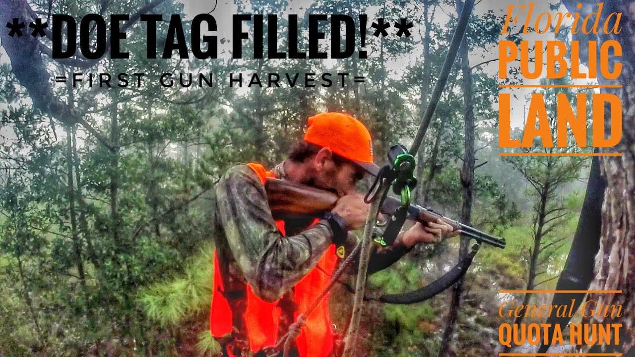 Florida public land general gun quota hunt (11/13) [**Doe Tag FILLED!**] YouTube