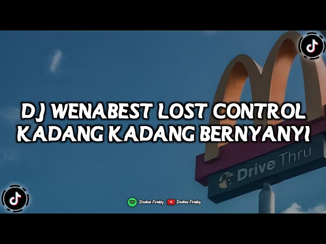 DJ WENABEST LOST CONTROL X KADANG KADANG BERNYANYI  SLOWED REVERB class=