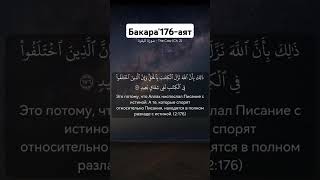 Этот аят из суры «Аль-Бакара» (2:176) имеет глубокий смысл
