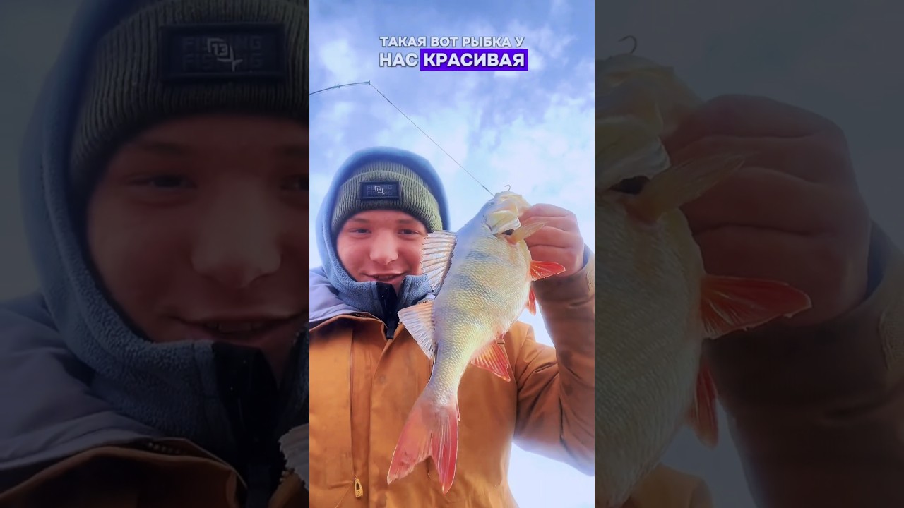 🍉Трофейные окуни-арбузы! На зимней рыбалке, приманка балансиры 