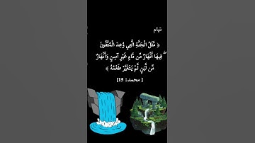 روائع الشيخ محمد عبد الوهاب الطنطاوي - تلاوة متميزة