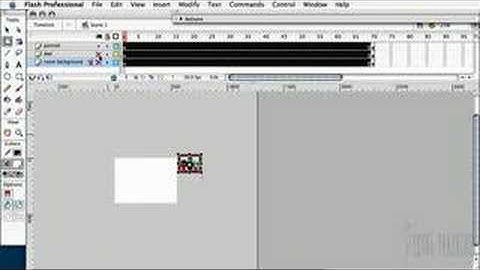 Flash Professional 8: Zoom