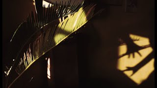 Miniatura de vídeo de "Весеннее пробуждение. Sevdaliza - Underneath"