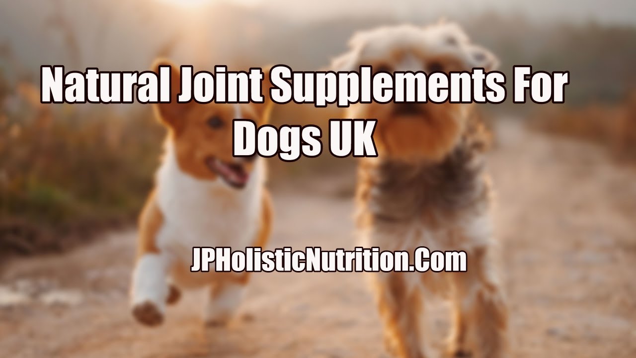 Natural Joint Supplements For Dogs UK YouTube