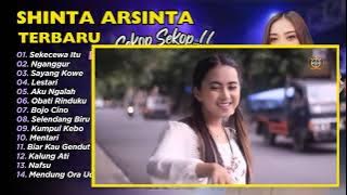 Shinta Arsinta - Sekecewa Itu - Versi Sekop Sekop | FULL ALBUM DANGDUT