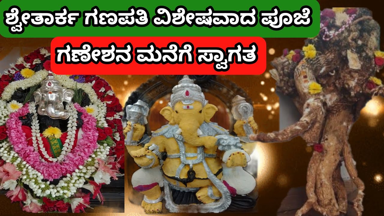 ಶ್ವೇತಾರ್ಕ ಗಣಪತಿ  ವಿಶೇಷವಾದ ಪೂಜೆ ಗಣೇಶನ ಮನೆಗೆ ಸ್ವಾಗತ// Ganesha  Pooja Mysore 
