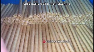 Celebrity Automatic Hollow Center-Filled Wafer Biscuit Roll Machine is working at factory Wealth