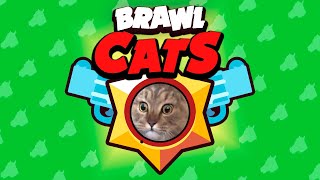 BRAWL CATS (BRAWL STARS MAIN THEME MUSIC CAT COVER)