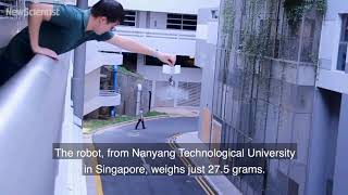 Flapping drone flies and darts around like a bird