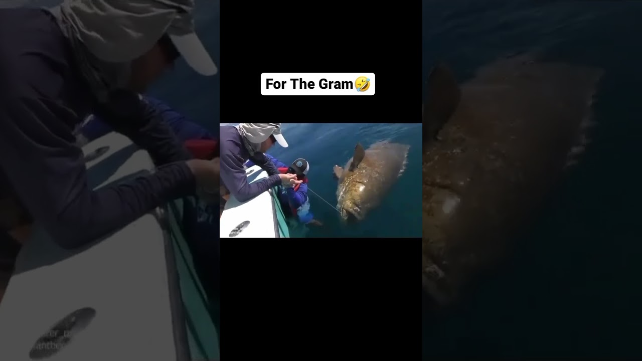 That one TOKEN Black person with his group of All White friends