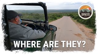 Going on an ELEPHANT Safari: South Africa Motorcycle Adventure - Episode 10 by Long Way Home 2,089 views 1 year ago 17 minutes