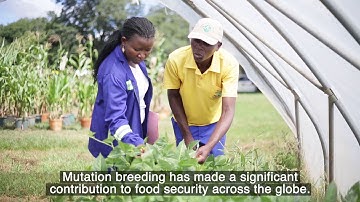 How Nuclear Science Helps Improve Food