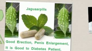 Penis Enlargement Pills - Herbal Erection Pills