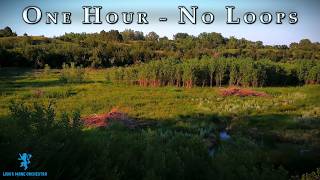 Lake Hiddenwood State Park & More! | Fantasy Soundtrack & Cinematic Video