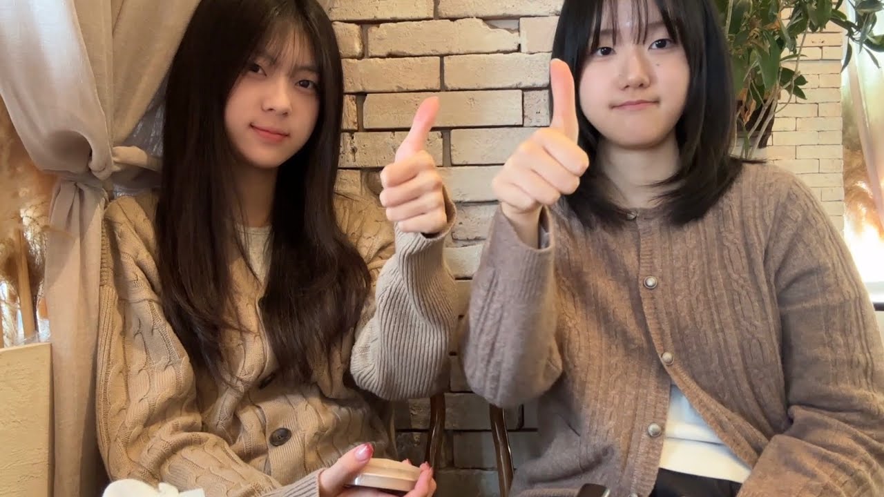 수시발표브이로그 ) 현실적인 일반고 이과 전교권이 가는 대학 (연대랑 고대 둘 다 붙은 썰)