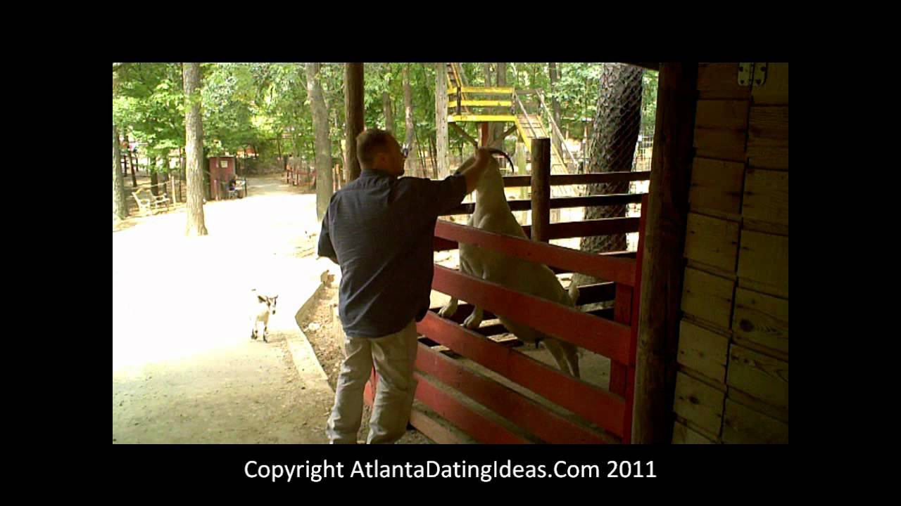 Yellow River Game Ranch YouTube