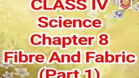 Class IV - Science - Chapter 8 (Part 1)