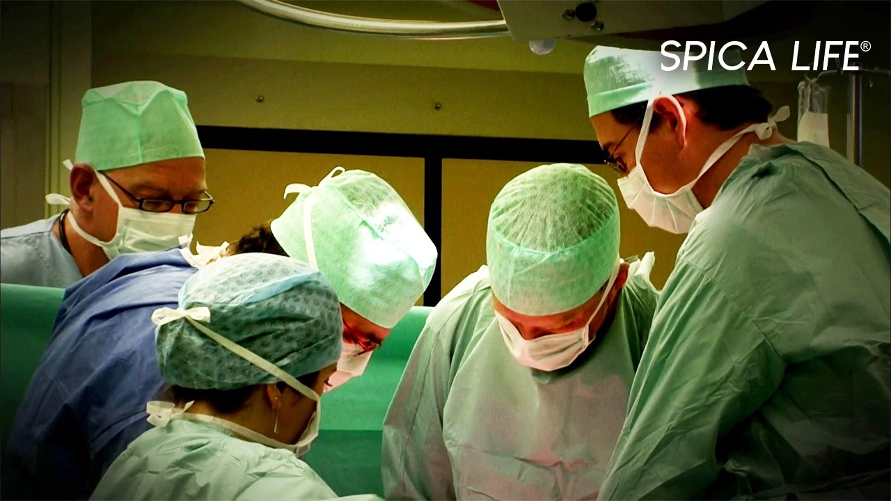 Ces cas FOUS qui ont défié TOUS les experts : les Thrillers de la médecine