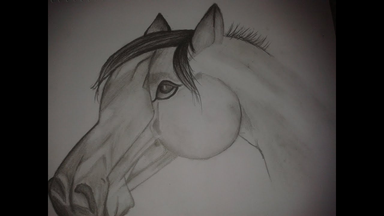 Como desenhar um cavalo com lápis de cor