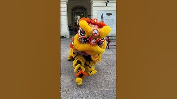 Thumbnail of Yiwei Lion Dance Performance