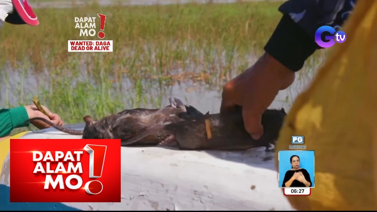 Dagang bukid, puwedeng pagkakitaan at panlaman tiyan! | Dapat Alam Mo!