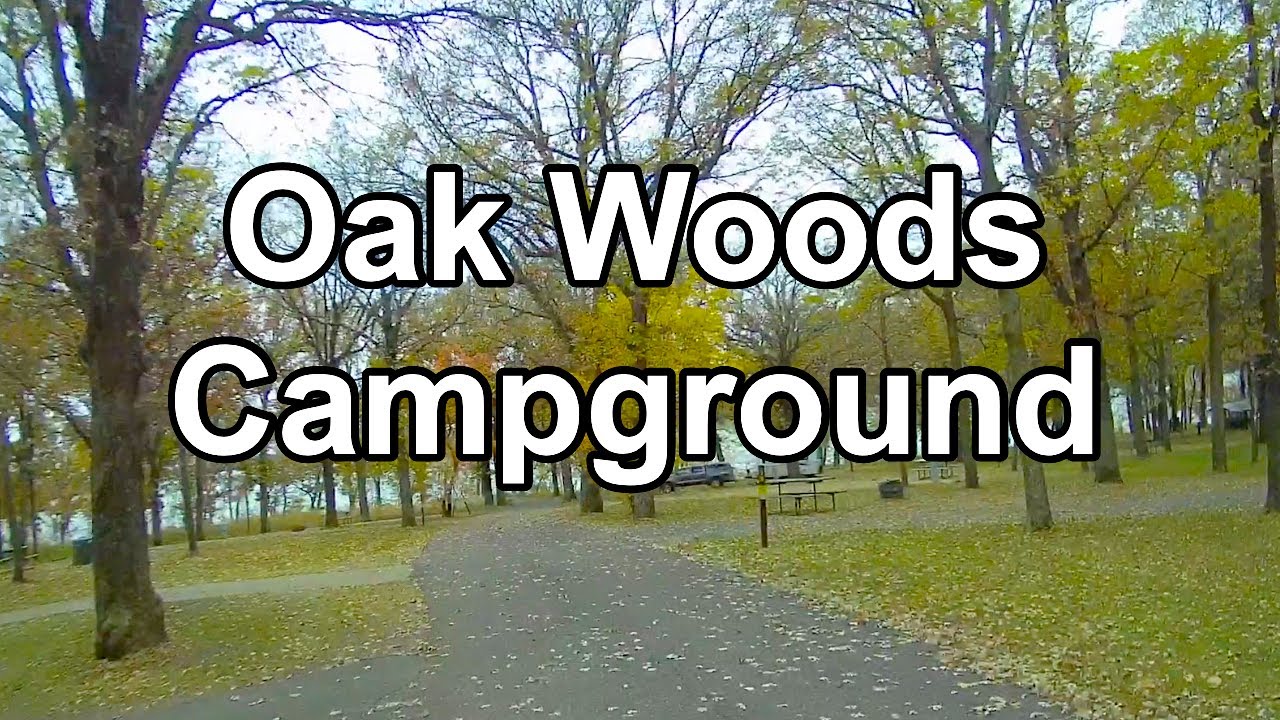 Кемпинг Oak Woods в государственном парке SCOUT Lake Shetek (Карри, Миннесота) [25.12.2025]