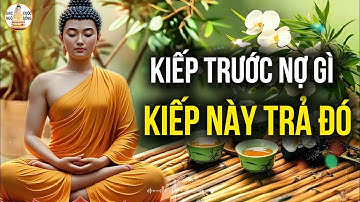 Kiếp Trước Nợ Gì, Kiếp Này Trả Đó – Thiện Duyên Hóa Giải, Oán Hận Trả Bằng Đau Thương!