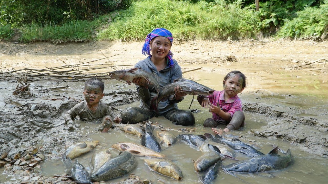 Caught a giant school of strange fish, brought them to the market to ...