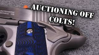 Refinishing 3 Brand New Colts for Auction! Your Chance to Own!