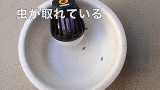 【ペットにも安心】充電式の虫取りを試す【アイデア次第】