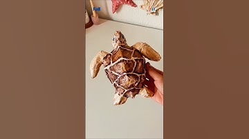 How to Make a Cardboard Sea Turtle (Easy and Fun Crafts!) #short #craftyideas #diy #cardboardcrafts