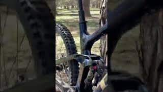 Best Maxxis Tire Combo for Enduro MTB