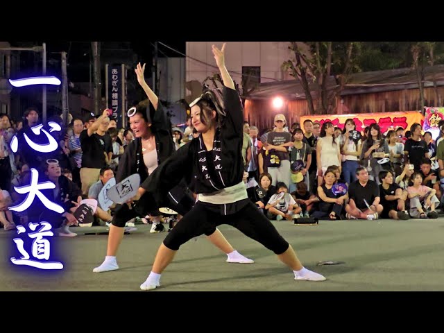 2012 徳島選抜阿波踊り大会選集 2012 徳島選抜阿波踊り大会選集 【公式通販】