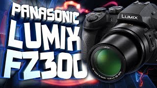 ПОЛГОДА С КАМЕРОЙ LUMIX FZ300 от Panasonic. Видеоотзыв