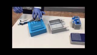 DNA Agarose Gel Electrophoresis Demonstration