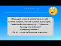 Анекдоты! Семья хочет купить попугая...Подборка смешных пикантных анекдотов! Выпуск 23