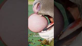 Celebrity Why Cutting Onions Makes You Cry π Profile