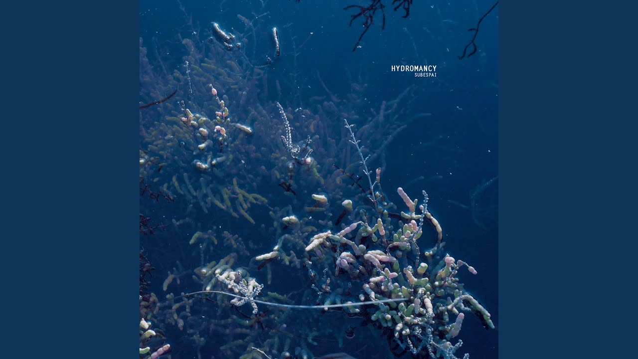 Bleak Consequences adlı videoyu YouTube'da izle Bleak Consequences adlı videoyu YouTube'da izle