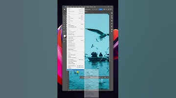 Zoom with Scroll wheel #photoshop2024 #photoshop #graphicdesignphotoshop #photoshoptutorial